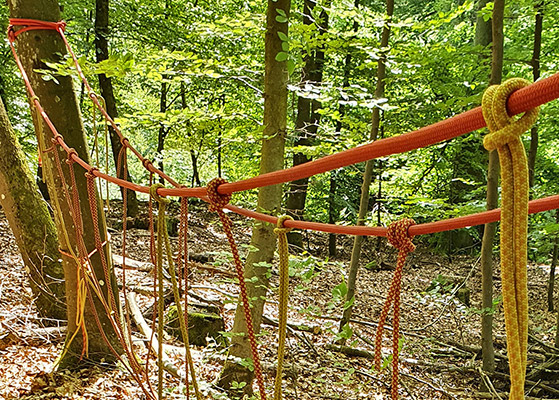 Foto Waldpaedagogik